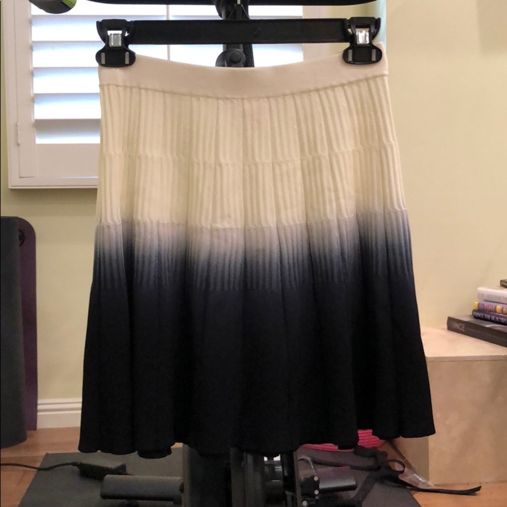 Parker Ombré Skater Skirt